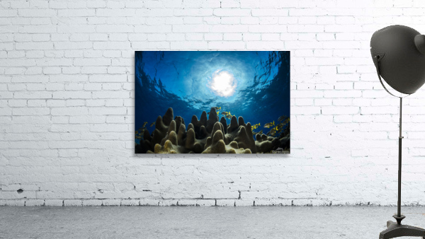 Hurry Sundown Wall Preview