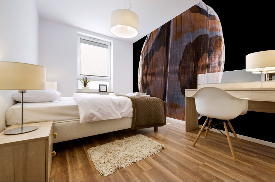 Planet Wood Mural print