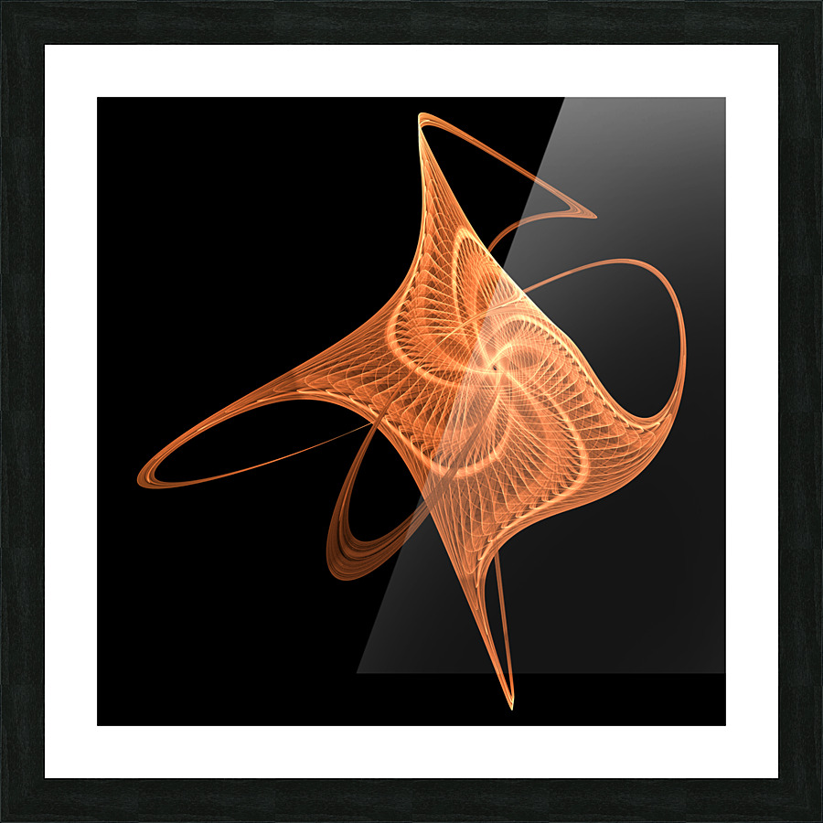 The Octopus Picture Frame print