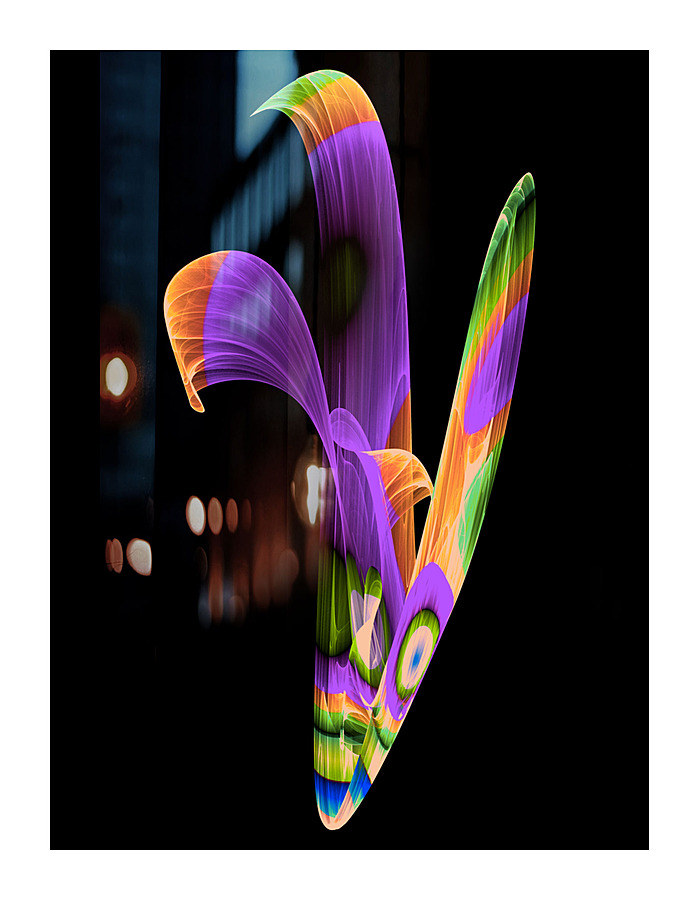 Digital Flower Picture Frame print