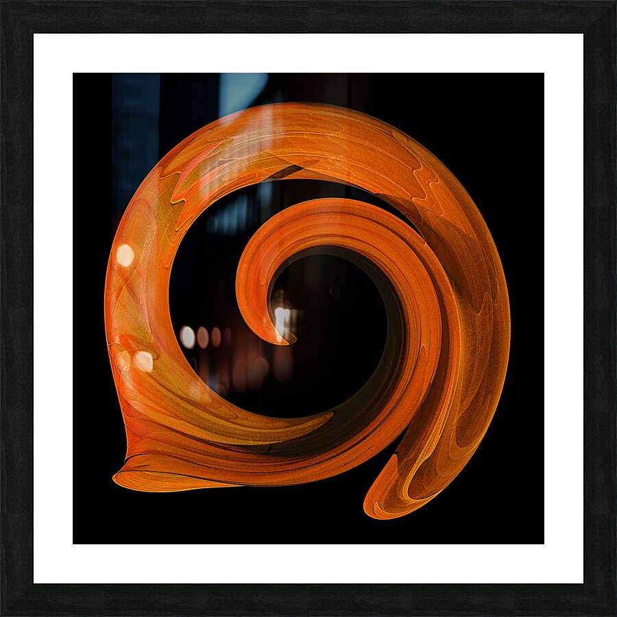 Nautilus Picture Frame print