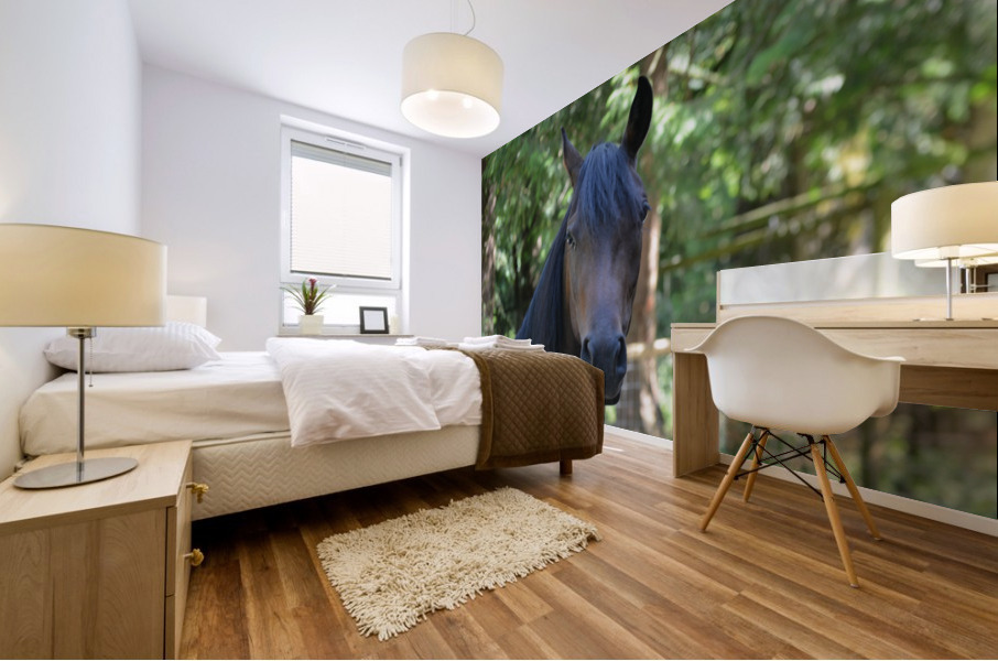 Horse - Gaze Mural print
