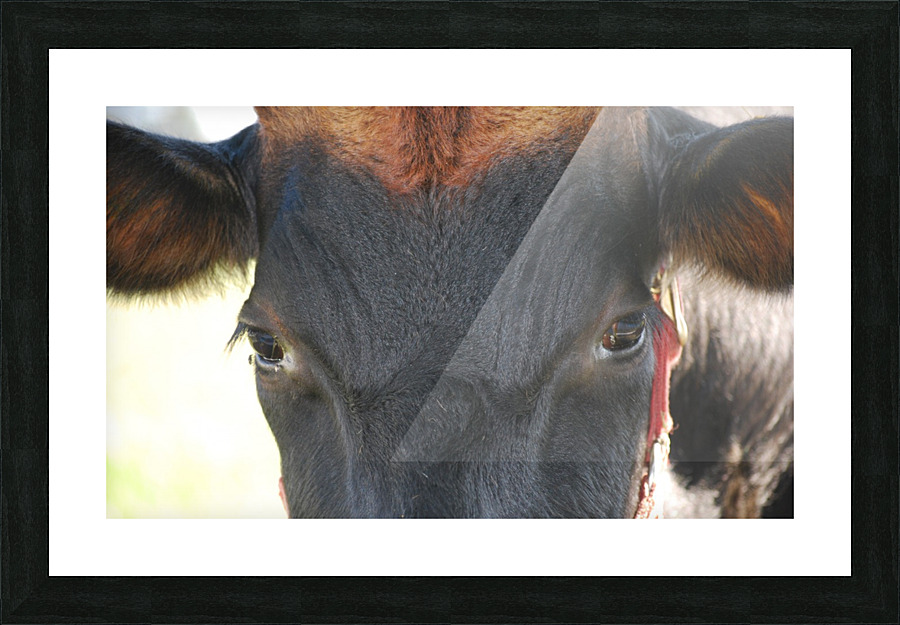 Soul Picture Frame print