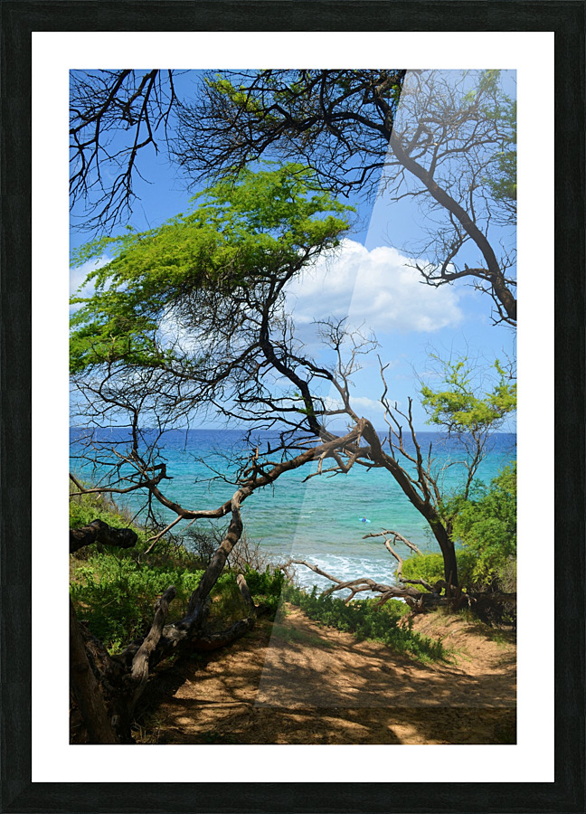 Makena Park Picture Frame print