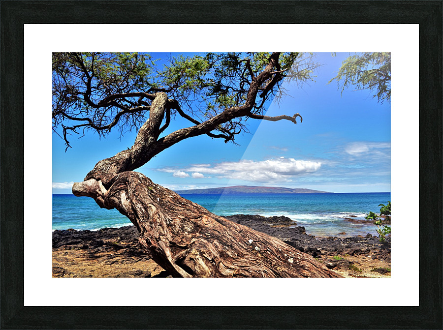 Dreaming  Picture Frame print