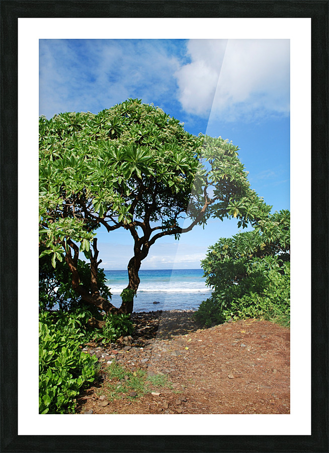 Oahu Beauty Picture Frame print