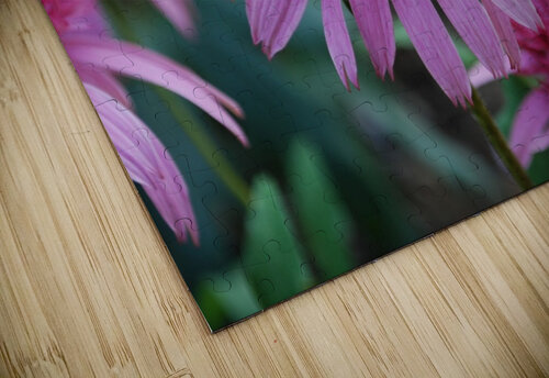 Cone Flower Lynn Prudhomme Mills puzzle
