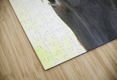 Soul Lynn Prudhomme Mills puzzle