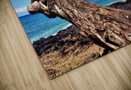 Dreaming  Lynn Prudhomme Mills puzzle