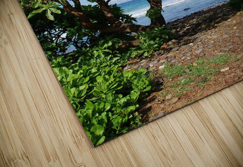 Oahu Beauty Lynn Prudhomme Mills puzzle