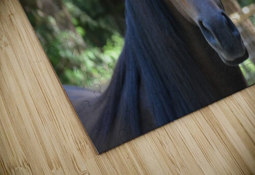 Horse - Gaze Lynn Prudhomme Mills puzzle