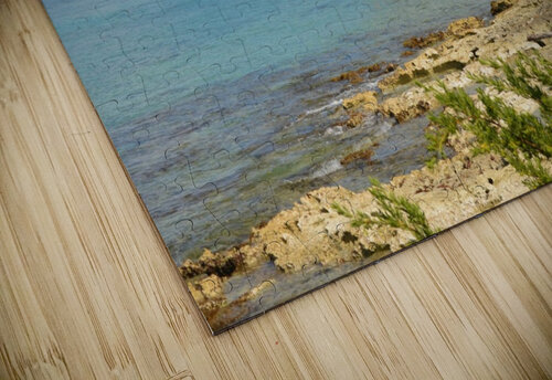 Cozumel  Lynn Prudhomme Mills puzzle