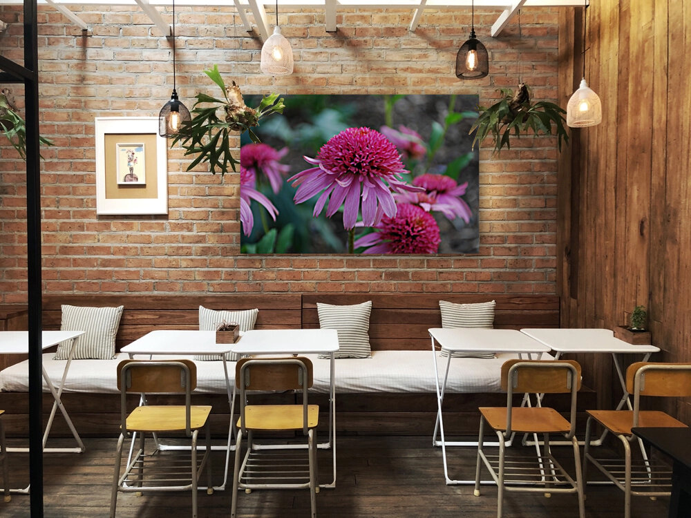 Cone Flower Reproduction