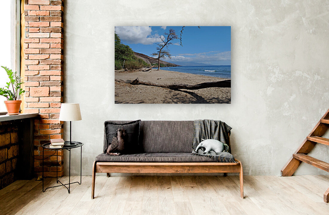 Beach Maui Reproduction