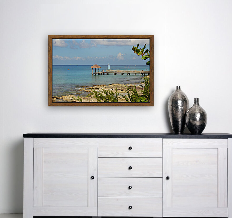 Cozumel  Reproduction