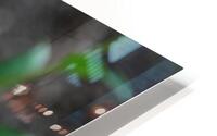 Cone Flower HD Metal print