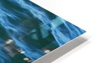 In Motion - Orca HD Metal print