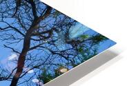 Makena Park HD Metal print
