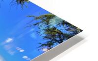 Dreaming  HD Metal print