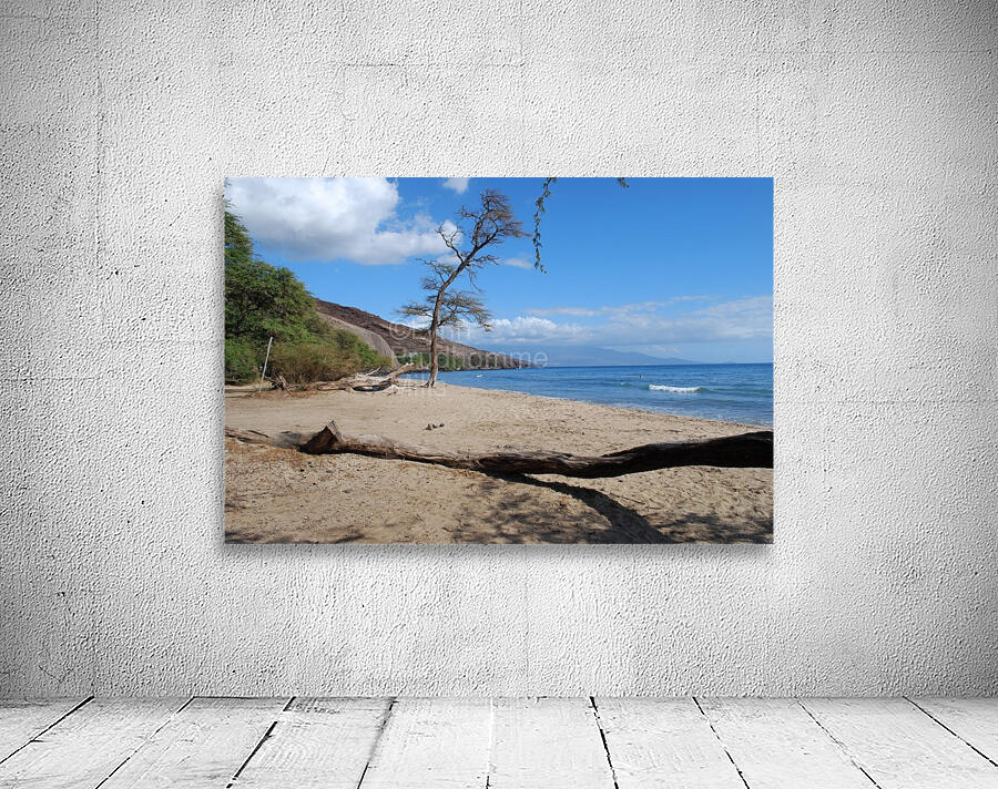 Beach Maui Wall Preview