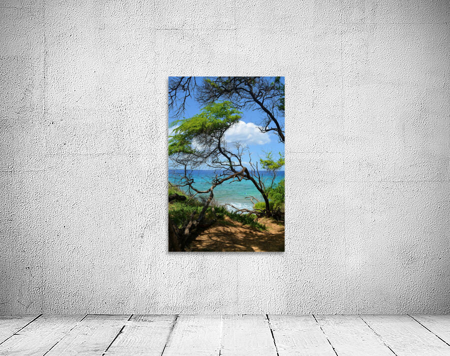 Makena Park Wall Preview