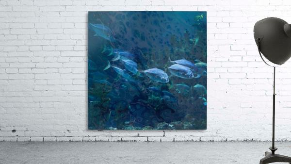 Abstract with Fish Wall Preview