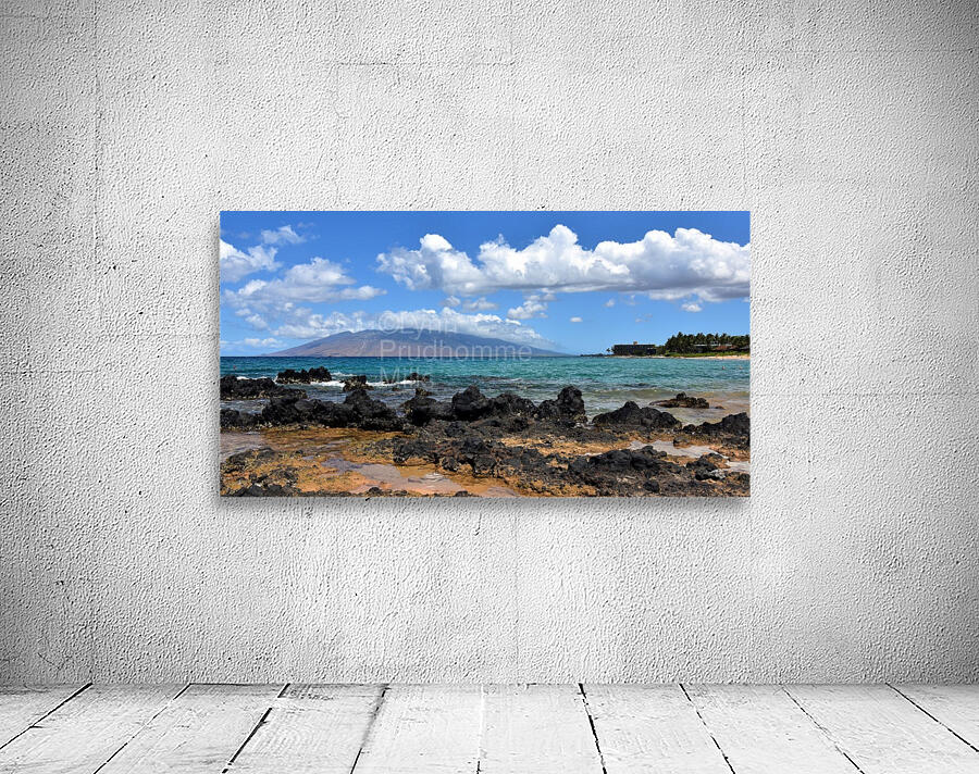 Maui South Wall Preview