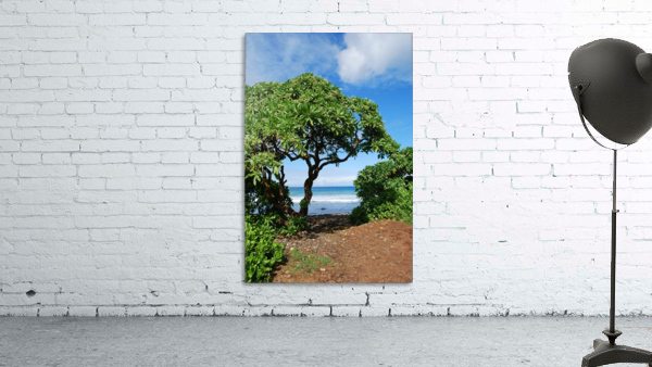 Oahu Beauty Wall Preview