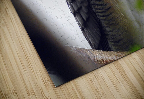 Zebra Dove Originals by Miracles puzzle