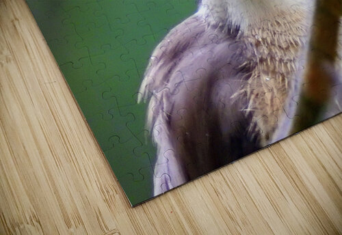 Yellow-vented Bulbul Originals by Miracles puzzle