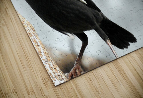 Crested Myna Originals by Miracles puzzle