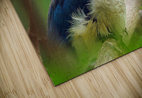 Collared Kingfisher Originals by Miracles puzzle