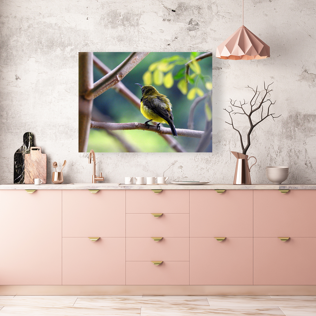 Olive-backed Sunbird Reproduction