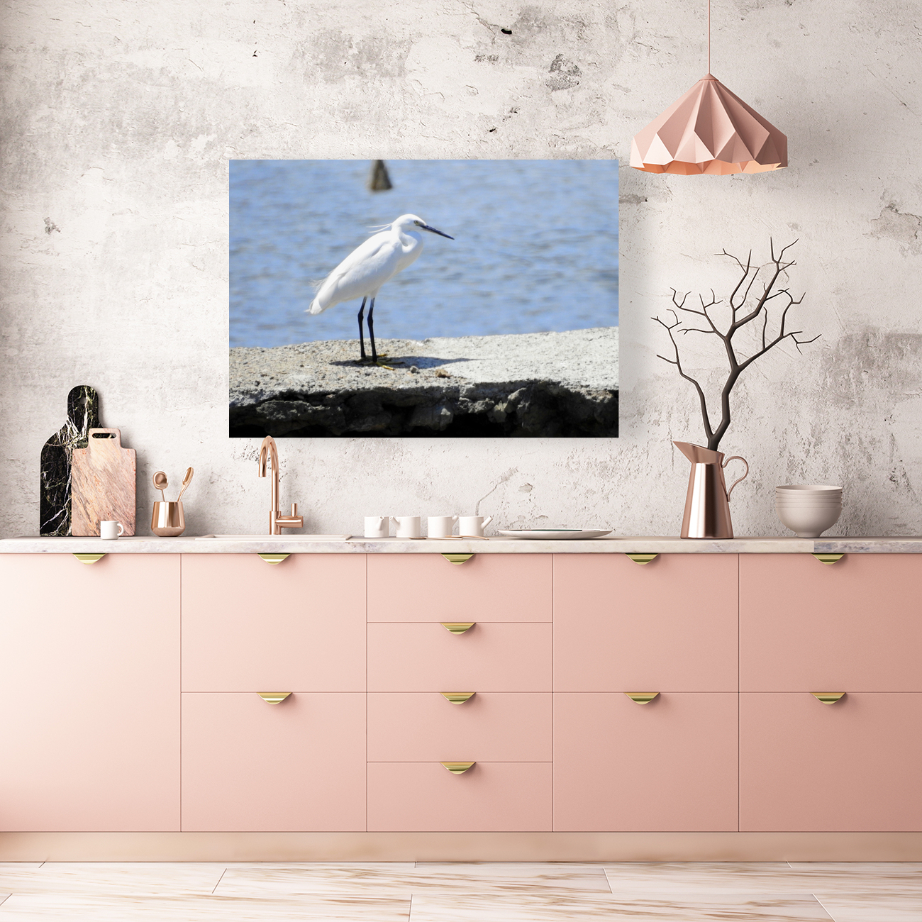Little Egret Reproduction
