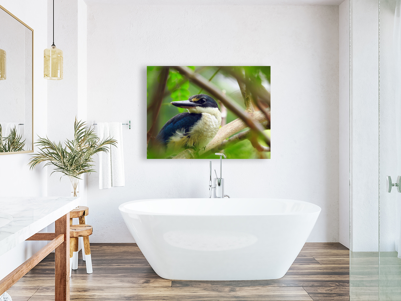 Collared Kingfisher Reproduction