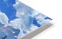 IMG 8150 HD Metal print