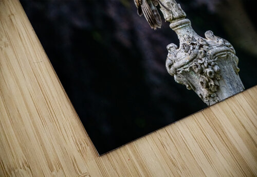 The guardian Ysae Art Photography puzzle