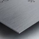 birds flying branch encounter Metal print