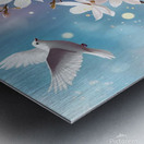 Peaceful Flight in Bloom Metal print