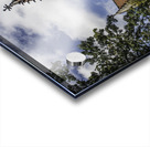 College Green Acrylic print