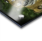 Next Strike  Tiger  Acrylic print