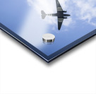 Fly By Acrylic print