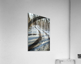 Snowy Trails Acrylic Print