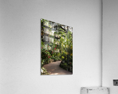 Urban Forests Acrylic Print