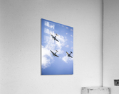 Fly By Acrylic Print