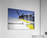 Tuskegee Airmen Acrylic Print