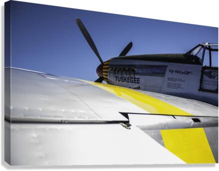 Tuskegee Airmen Canvas Print