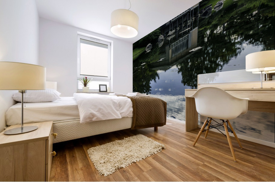 Reflections Mural print