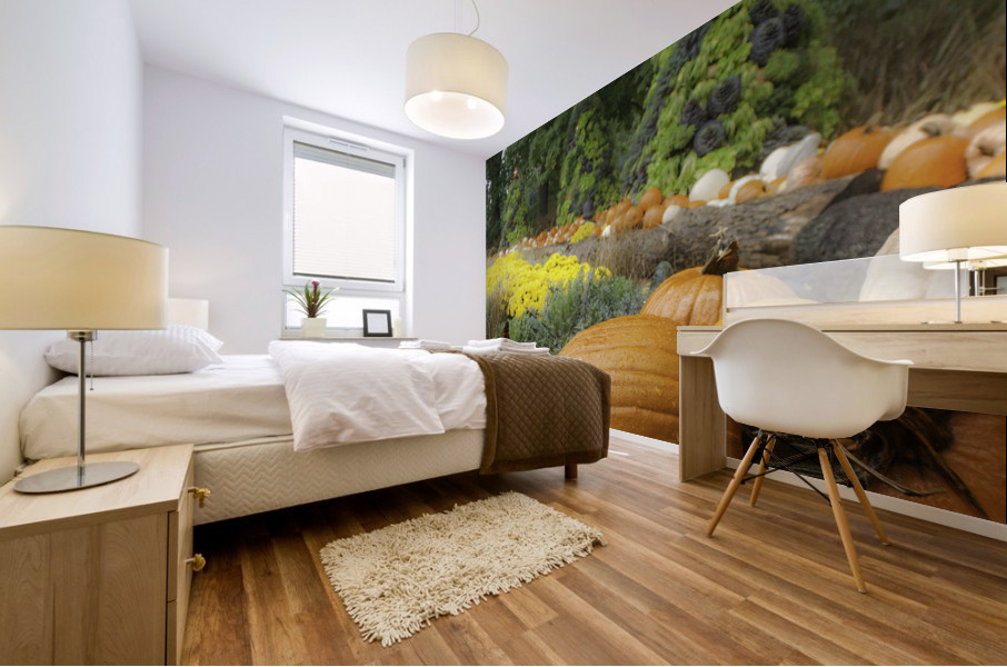 Pumpkins Mural print