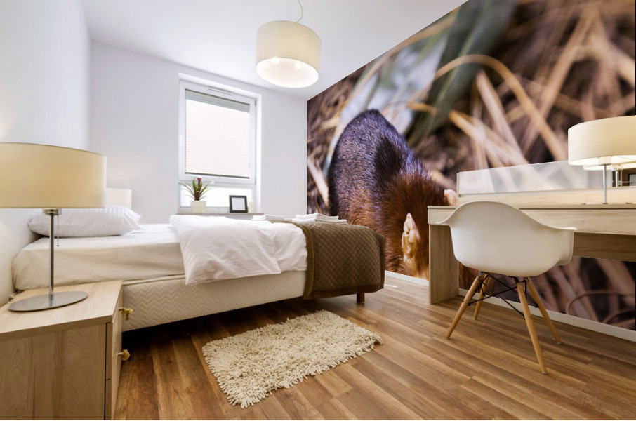 Small Elephant Mouse Mural print